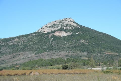 Élagueur Cabrières