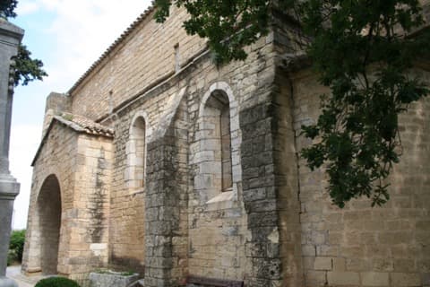 Élagueur Espondeilhan