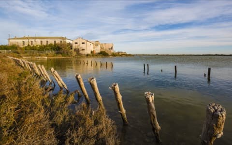 Élagueur Frontignan