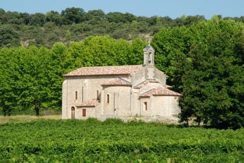 Élagueur Sauteyrargues