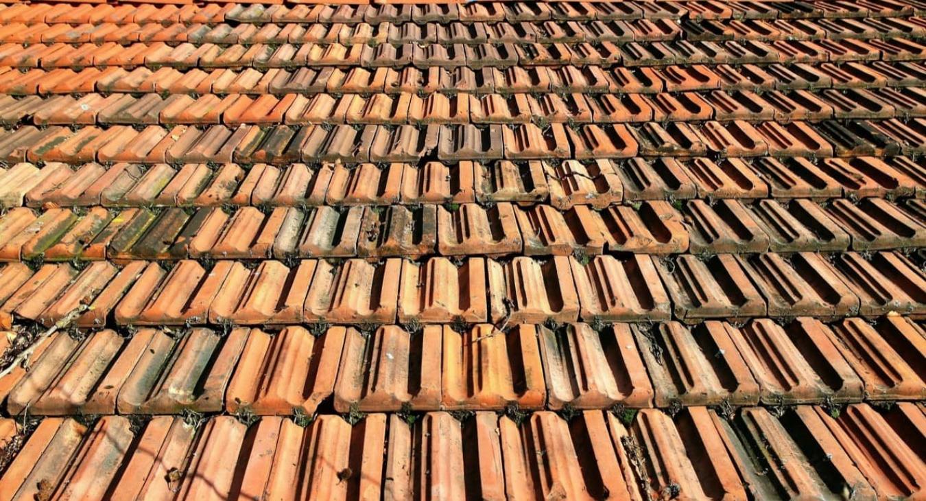 Nettoyage & Démoussage de toitures