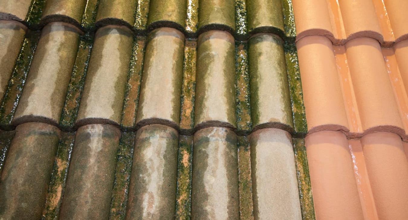 Nettoyage & Démoussage de toitures