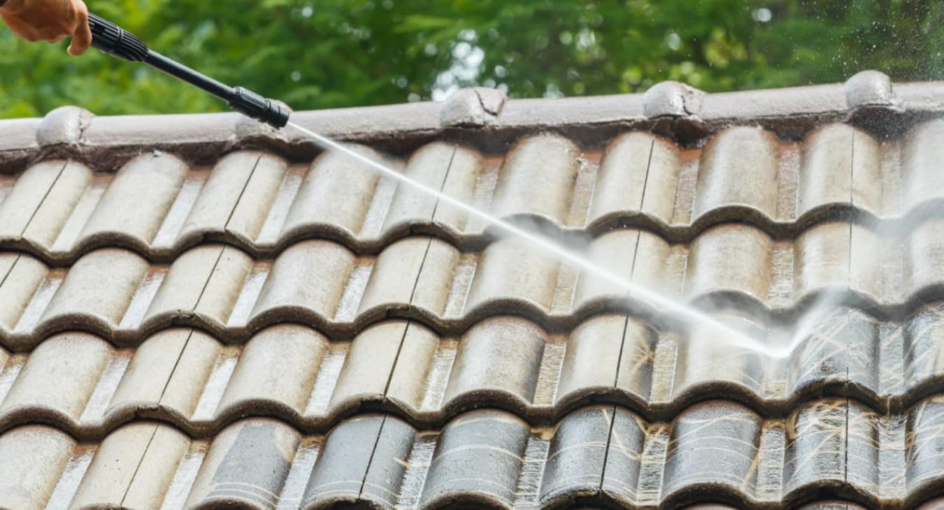 Nettoyage & Démoussage de toitures